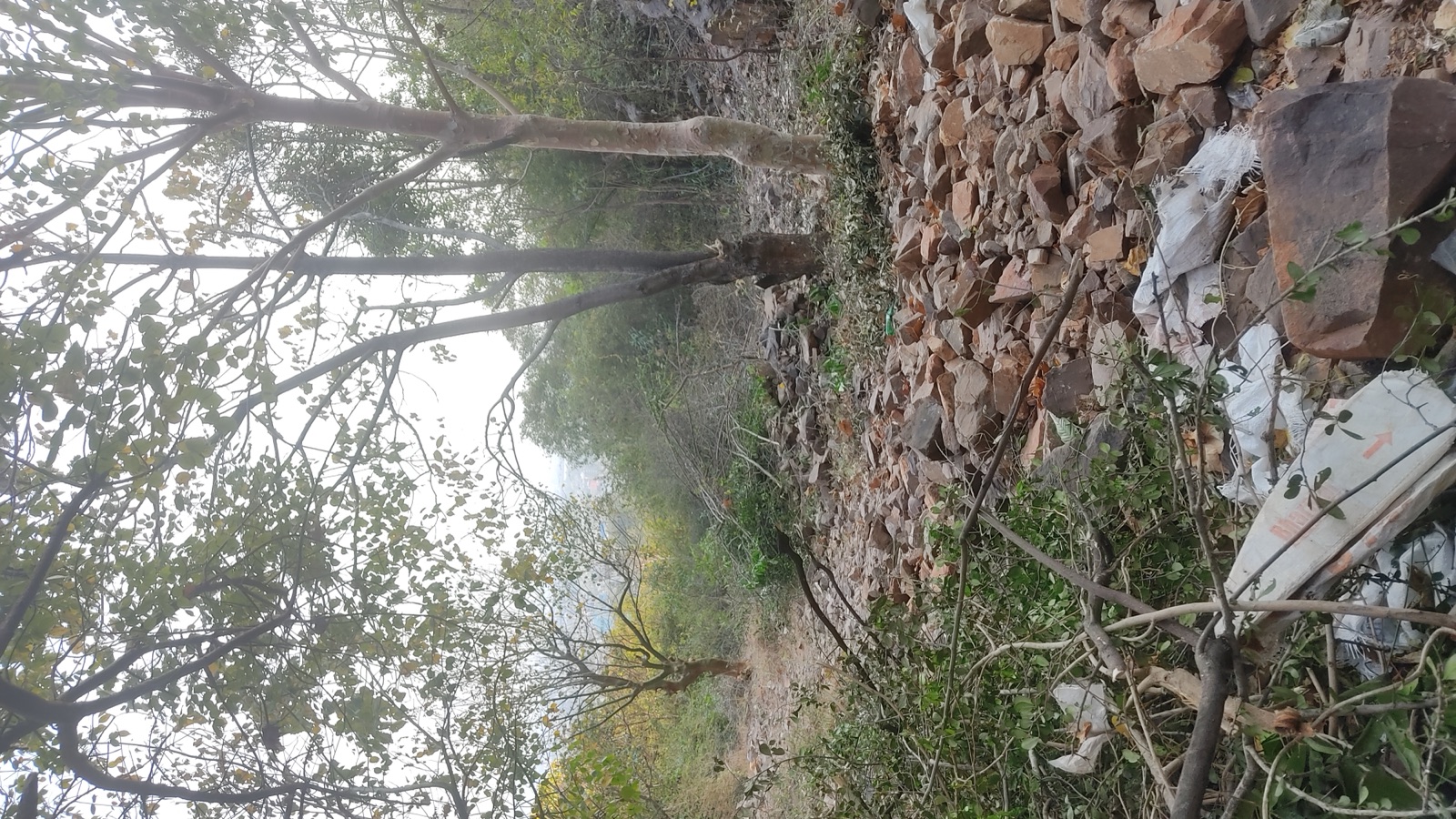 The ground in February 2023, before the year's work on it.