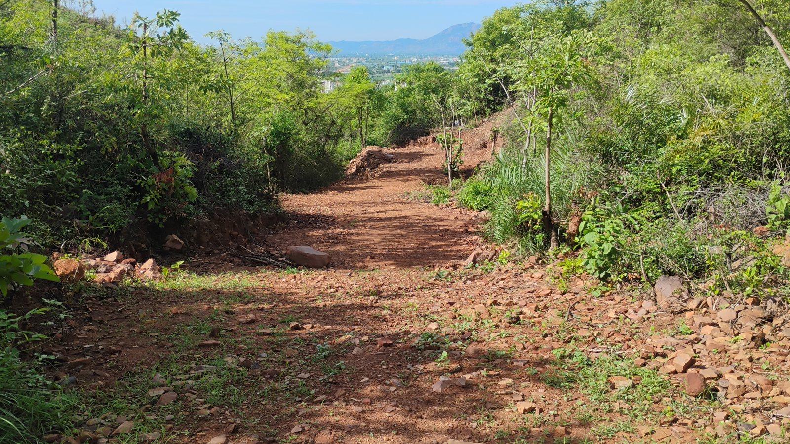 A graded road of red earth running downhill toward a hazy plain with a town on it, wide enough for a vehicle, cut banks on either side and green growth along both edges.