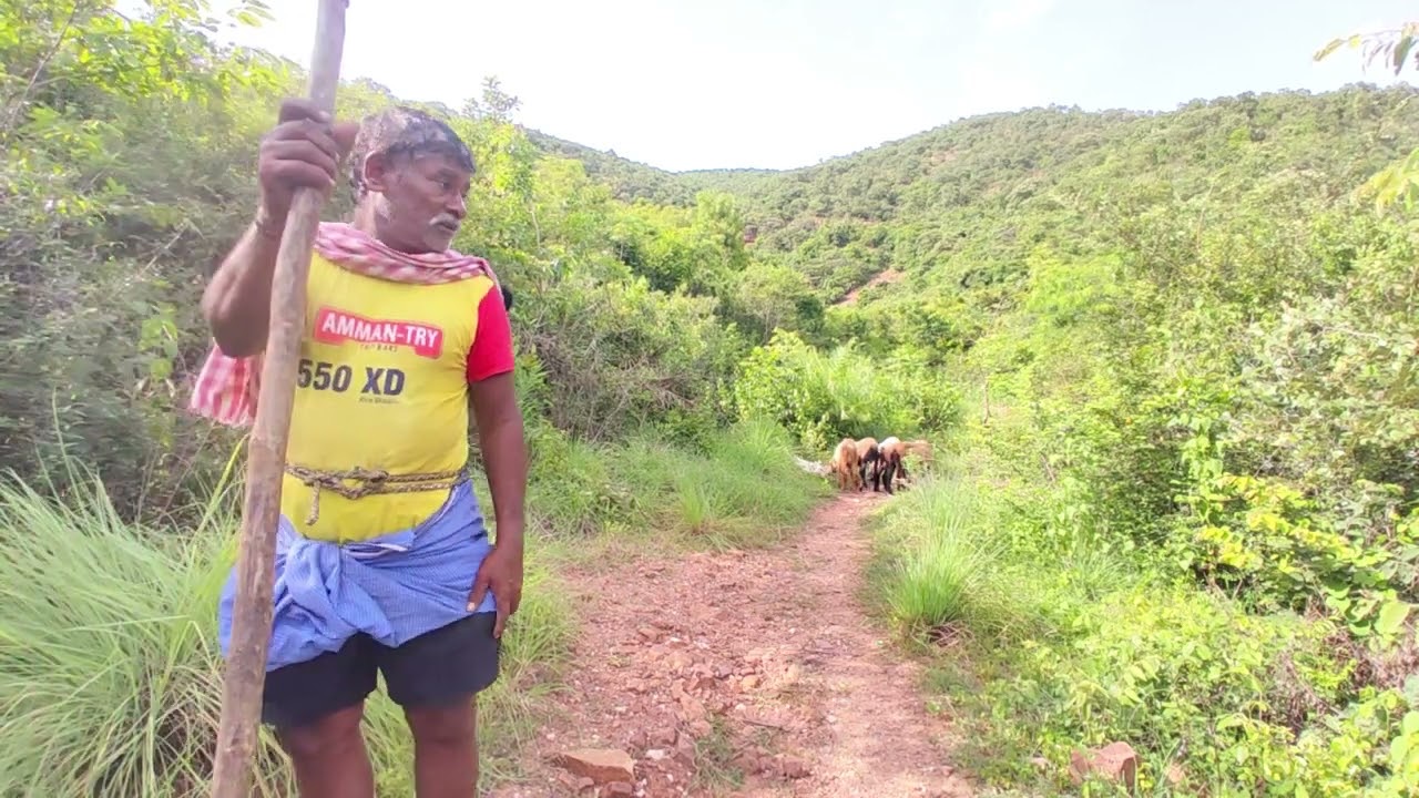 Clearing ground along the road to make places for the trees.
