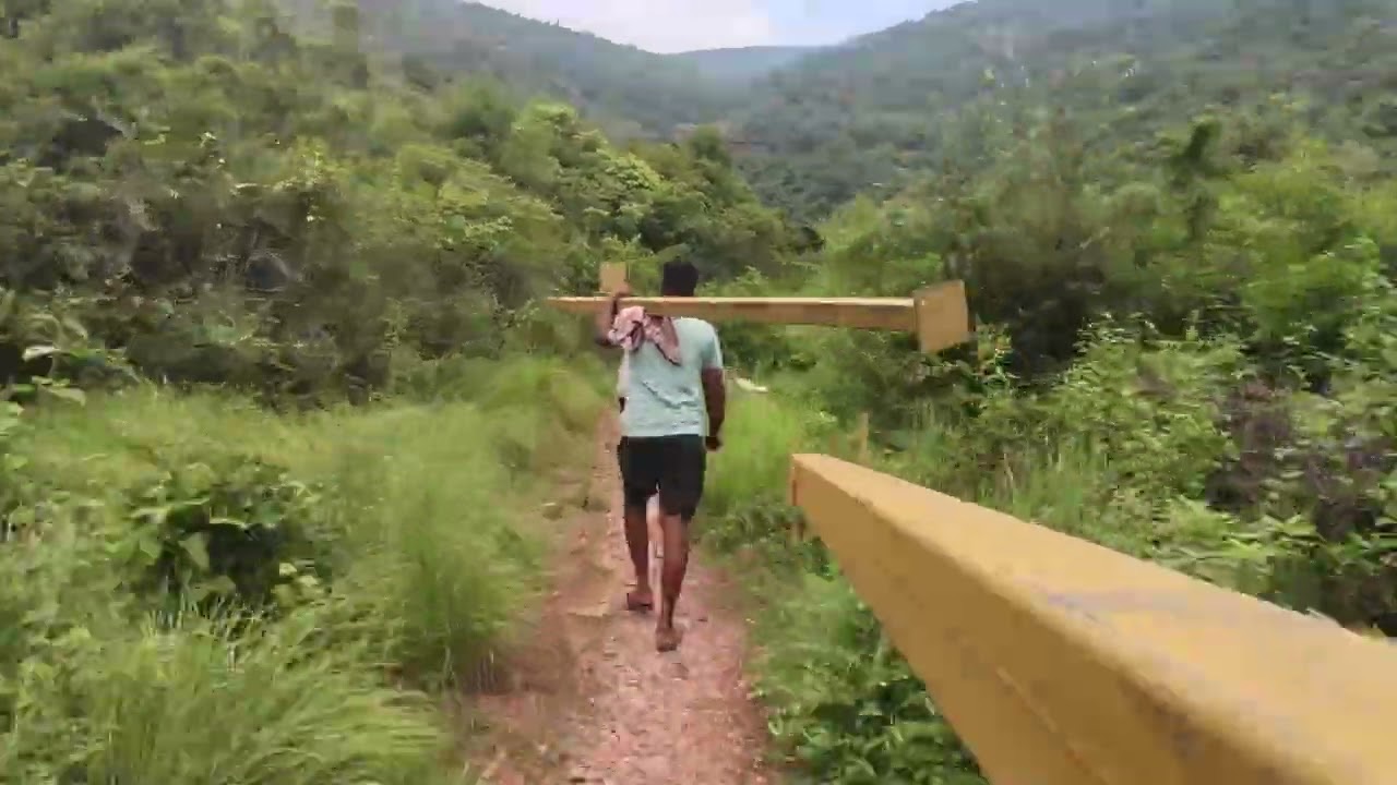 Iron pipes carried into the forest.